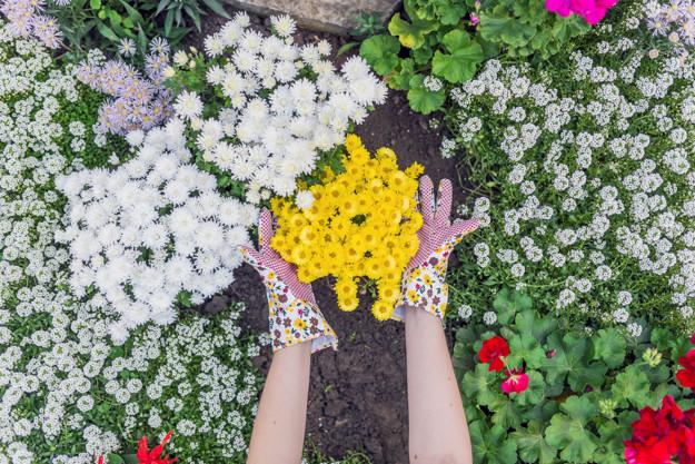 Comece Seu Ritual de Passagem Pela Primavera